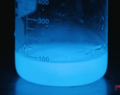 China Luminol Reagent 3-Aminophthalhydrazide 521-31-3 Chemiluminescence Immunoassay for sale