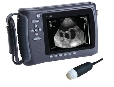 China Portable Handheld Veterinary Horses Digital Ultrasound For Animal for sale