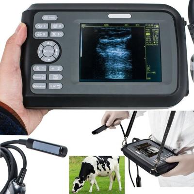 China Medical Portable Handheld Portable Ultrasound Machine Veterinary Horses Wine Ultrasound System for sale