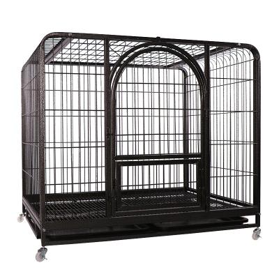 China Stocked Indoor Stainless Steel Settlements Iron Dog Cages For Cheap Sale for sale