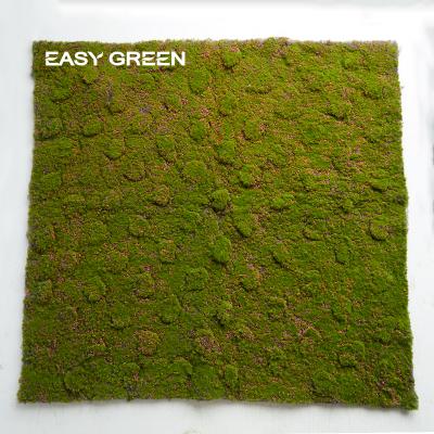 China Wholesale Eco-friendly Green Moss Carpet Hot Sellers Moss Turf For Garden Decoration Ground Decoration for sale