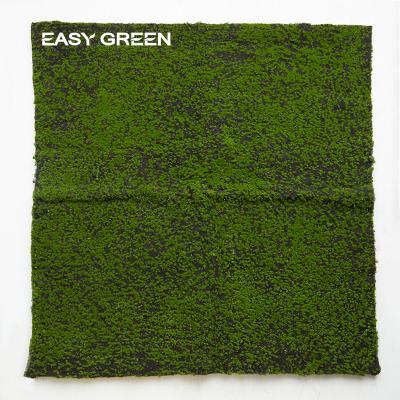 China Factory Price Eco-friendly Hot Selling Cheap Green Moss Carpet For Garden Decoration Ground Decoration for sale