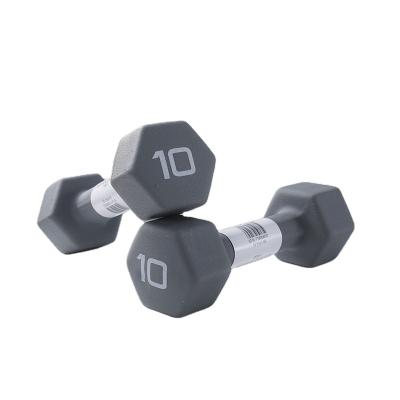 China New Style Fitness Dumbbell High Density Non-Slip Sponge Type 10 Pound Dumbbell Colorful Thick Neoprene Coating for sale