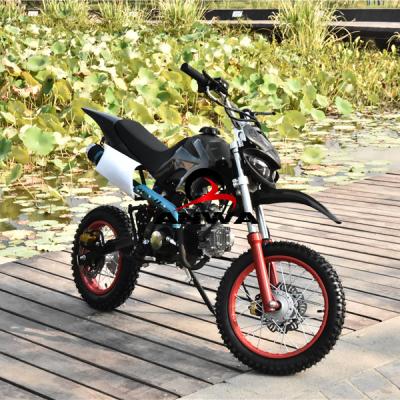 China 110cc pocket bikes super tail light electric dirt bike 10inch as stansard 12 14 inch available for sale