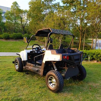 China For Adults Grow Electric Utv 4x4 10inch 60v 600cc 5kw China 500cc 4 Wheel High Quality Alloy 800cc 72v 700cc for sale