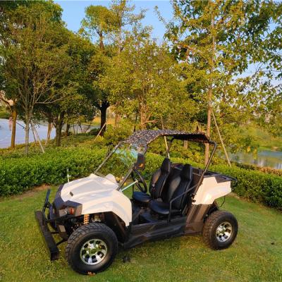 China 4x4 4x2 1000w Buggy 2wd Or 4wd For Fast Sand 400cc Atv 4000w 800cc 4*4 Farm X 5000w Utv 4 Electric 10inch Alloy for sale