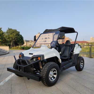 China 2 Seater 1000w powerful electric 125cc 110cc 4 2 Seat 4x2 offroad atv for sale 125cc atv buggy cheapest price 10inch alloy for sale