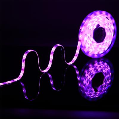 China Smart Theme Park 5 Volt Ws2811 Waterproof\Inexpensive Design 3 Pin Ws 2811 Ucs1903 Digital RGB Led Strip for sale