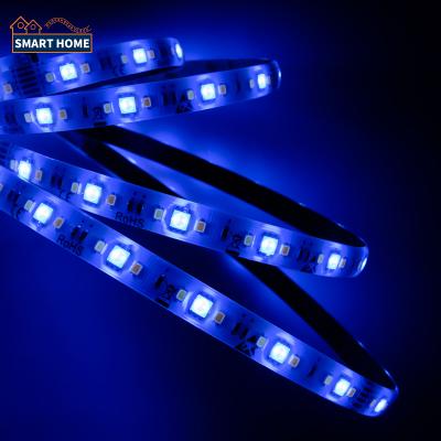 China Theme Park 30 LED Accessible Led Strip 144leds 144leds\Ws2812b Digital Smd5050 60leds 14.4w M Dc 5v RGB Dc12v for sale