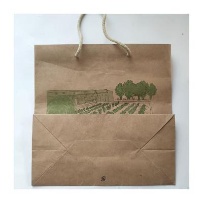 China Starbust Okta Handmade Custom Biodegradable Eco - Friendly Paper Bag for sale