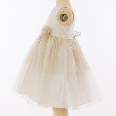 China Anti-wrinkle Finalz Sequin Tulle Sleeveless Champagne Color Dress Dress For Kids Girls for sale