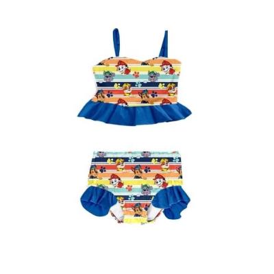 China Wholesale Plus Size Bikini Swimwear Summer Paw Patrol Girls Swimwear Match Boys Swim Trunks Kids Clothing for sale