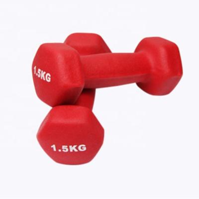 China Eco-friendly Ladies Small Cheap Home Dumbbells Set Arm Slim Kids Fitness Gym Dumbbells Weight Equipment for sale