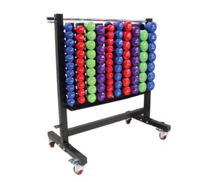 China Modern Vertical Rubber-Coated Dipping Dumbbell Rack Gym Dumbbell Rack Fitness Rack for sale