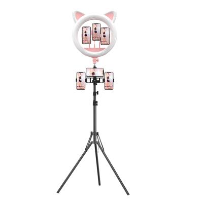 China PORTABLE Professional Makeup 60W 20 Inch Studio Selfie Ring Light With Stand Cat Ring Light RK45 for sale