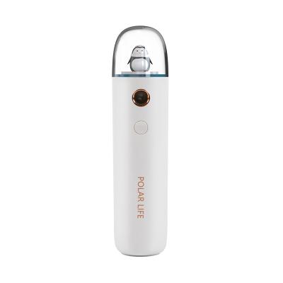 China Life Portable Ultrasonic Moisturizer Life Small Mist Polar Jet Personal Cool Facial Humidifier USB Ultrasonic Humidifier for sale