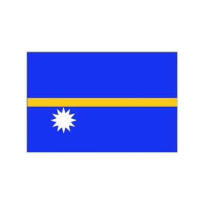 China Nauru Sports Club 100D In Stock Polyester Customized National Flags National Flag For Decoration Free Shipping for sale