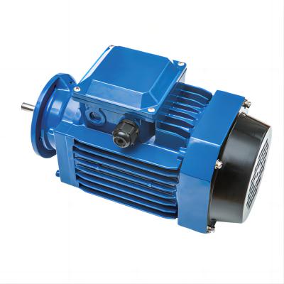 China Agriculture Motor 1hp/1.5hp/2hp/3hp/4hp/5.5hp AC 220v/50hz 100% Agriculture Motor 1hp/1.5hp/2hp/3hp/4hp/5.5hp Totally Enclosed IE 2 Green Copper Synchronous Motor for sale