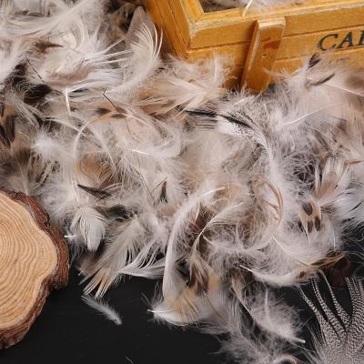 China TOPGREEN Soft Bulk Down Feather Filling Washed Gray Goose Duck Feather For Pillow for sale