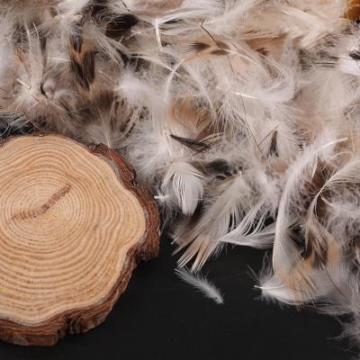 China TOPGREEN soft 2~4cm warm washed soft Cheap Gray Duck Feather Factory Price Gray Duck Feather For Sale for sale