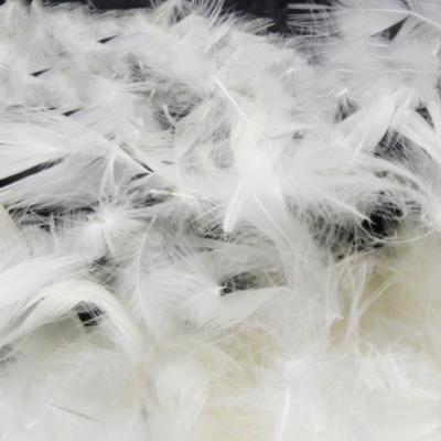 China TOPGREEN Duck Feather Natural White Duck 2-4cm Soft Washed Wholesale High Quality Cheap Filling for sale