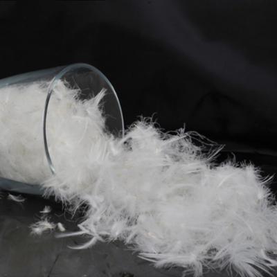 China TOPGREEN Manufacturer Supplies Washed White Duck Feather For Textile Material Soft Feather for sale