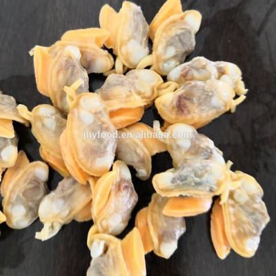 China Good Sale Wholesale Frozen Shellfish Clams Meat JELLY for sale