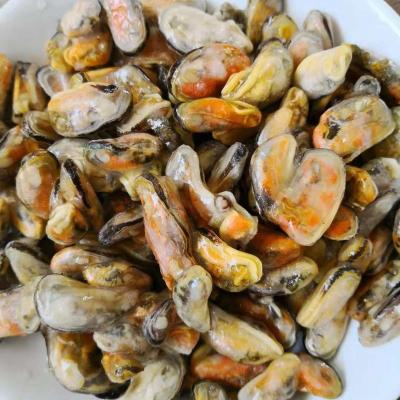 China Wholesale FROZEN Frozne Mussel Good Sale Seafood Shellfish for sale