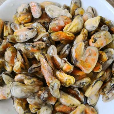 China FROZEN Mussel FROZEN Green Meat for sale