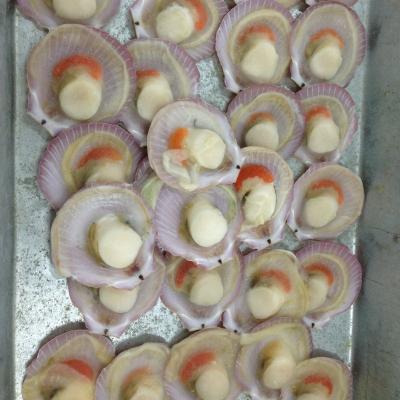 China FROZEN Non-Nicotine Scallop for sale