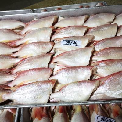 China Low Sugar Frozen Purple Spotted Bigeye for sale