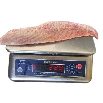 China Original FROZEN Seafood Indonesia Snapper Frozen Fillet WGGS for sale