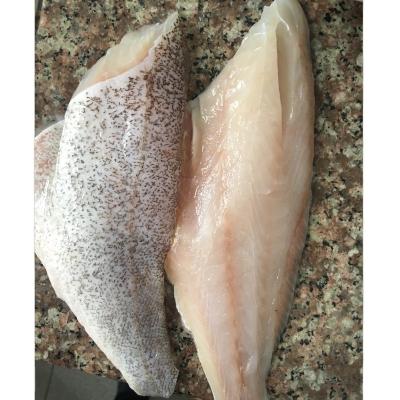 China Good Selling Indonesia WGGS Grouper Original Frozen Seafood JELLY for sale