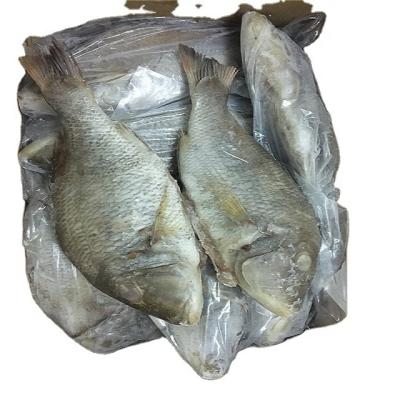 China Original FROZEN Seafood Indonesia Emperor Frozen Fish Steak for sale