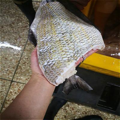 China Indonesian Emperor FROZEN Frozen Fish Fillet for sale