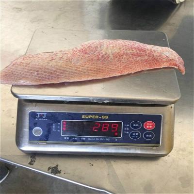 China FROZEN Snapper Fillet from Indonesia for sale