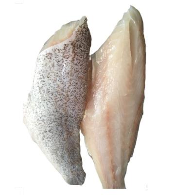 China FROZEN grouper fish fillet and WR grouper good sale for sale