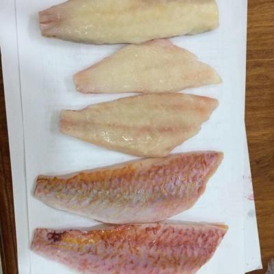 China Good Sale Fish Red Mullet Fillet Frozen Seafood JELLY for sale