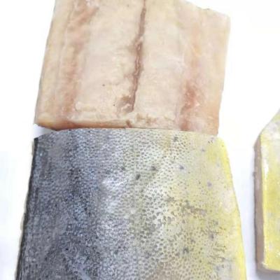 China Mahi Mahi Fillet Jelly Indonesia Origin JELLY for sale