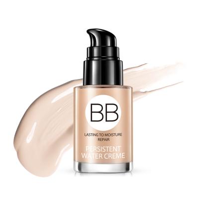 China Moisturizer Luxury Makeup Liquid Bb Cream For Skin Highcoverage Foundation Highcoverage Oily Foundation for sale