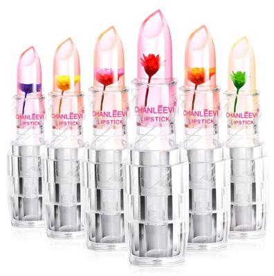 China 6 color lip balm tube waterproof wholesale lip balm container clear jar dried flower organic lip balm for sale