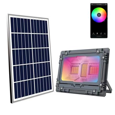 China Multi Color RGB Solar Led Lights Control+ Intelligent Remote Control Outdoor Solar Landscape Lamp Indoor Garden Solar Floodlight for sale