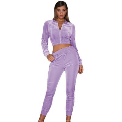 China 2021 Breathable New Stylish Custom Tracksuit Crop Tops Sweatshirt And Jogging Tracksuit 2 Pieces Set Women Velvet Activewear For Women for sale