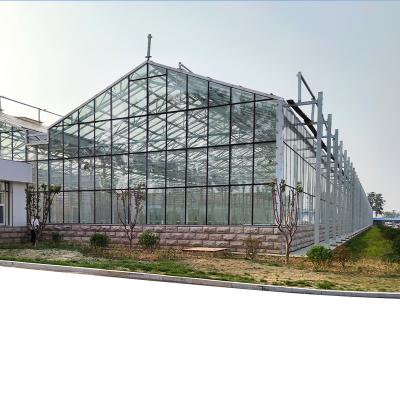 China Hot Selling Vegetable Fruit Flowers Automated Glass Greenhouse For Agriculture Made In China for sale