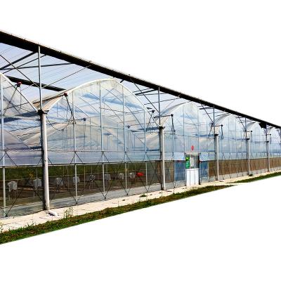 China Vegetable fruits flowers cheapest and hot sale multi-span transparent plastic sheet greenhouse polytunnel greenhouse greenhouse agricultural hydroponic for sale