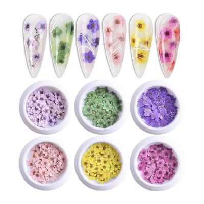 China Nail Art Flowers Daisy Decals Finger Nail Art 3D Beauty Wood Paste Soft Nail DIY Mixed Decoration Flash Stickers for sale