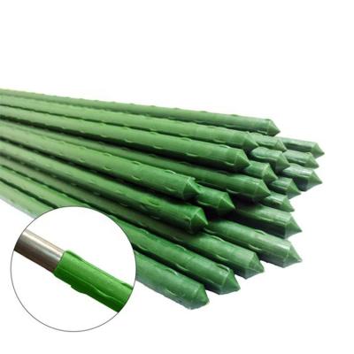 China Plastic Matel+PE Garden Stakes PE Coated Sheet for sale