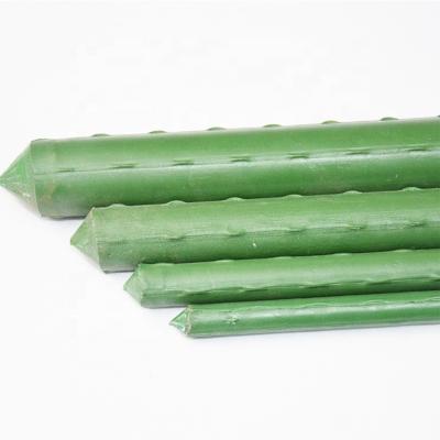 China Sturdy Matel+PE Plastic Coated Plant Pole Garden Sticks For Agricultural Greenhouses for sale