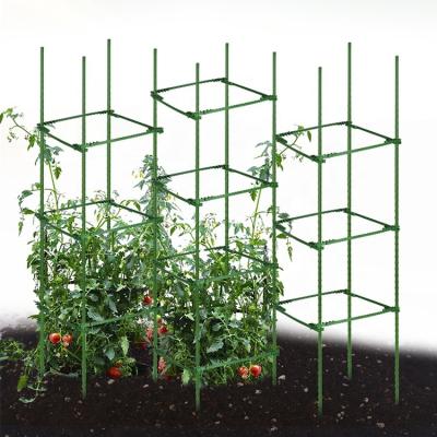 China Matel+PE Plastic Steel Tomatoes Stake For Plant Garden Climbing Stakes for sale