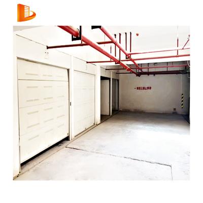 China 2 car garage anti-theft door for home for sale